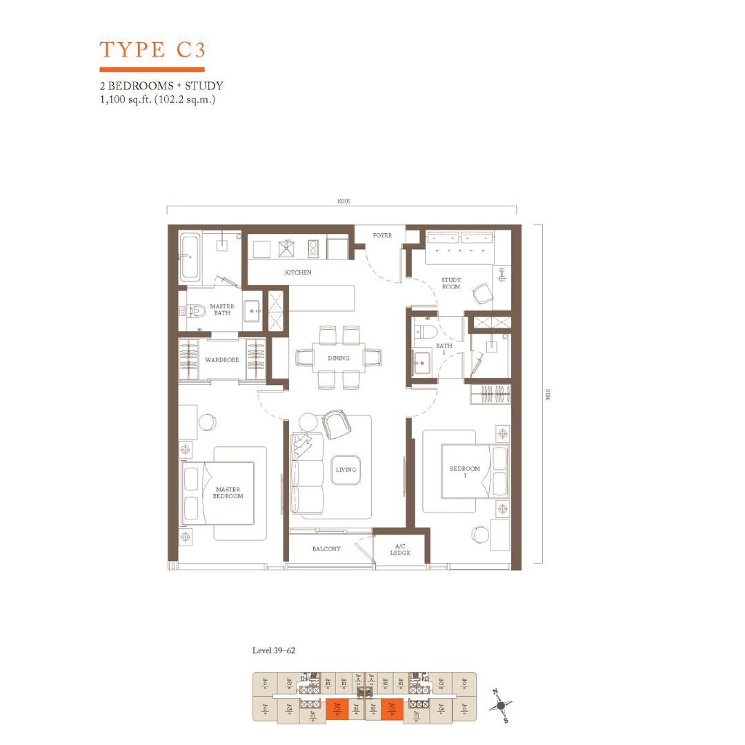 Type C3